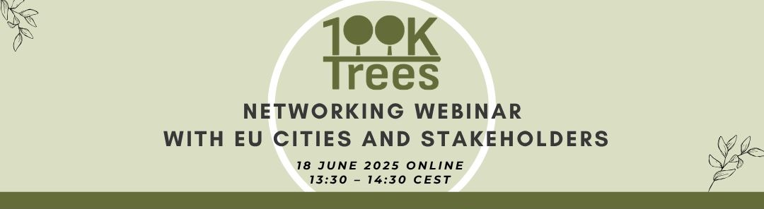 Networking Webinar with EU cities and stakeholders